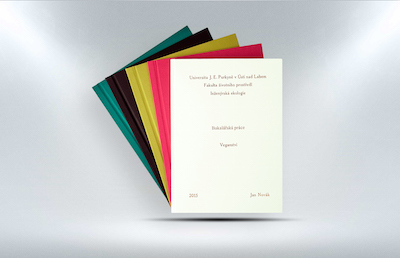 Diploma dissertation